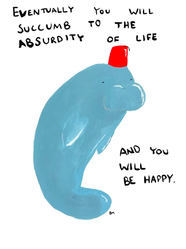 Manatee with a funny hat